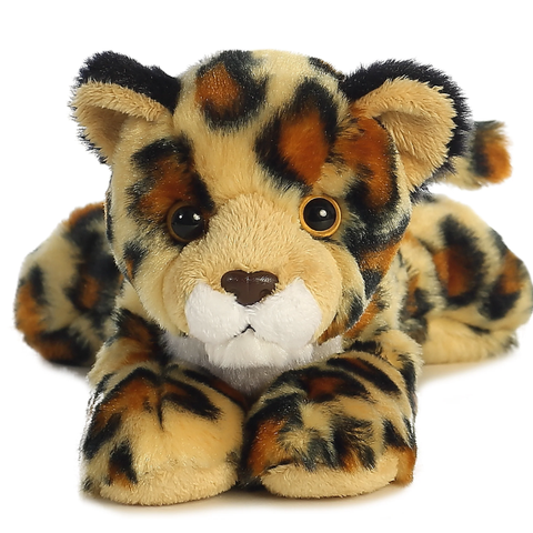 MF | Amazon Jaguar 8