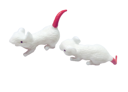 Incredible Squishy | Squishi Mice and Cheese 6+ - 4