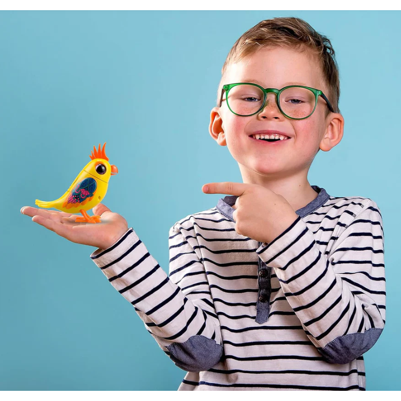 Digibirds | Single Pack 3+ - 7
