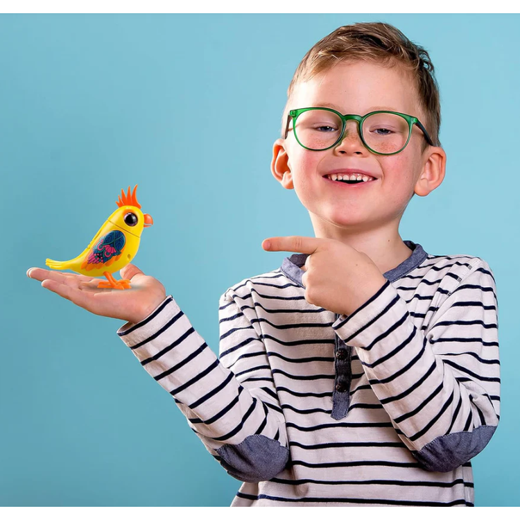 Digibirds | Single Pack 3+ - 7