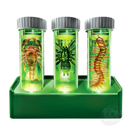 Kidzlabs | Creepy Crawley Digging Lab 5+ - CR Toys
