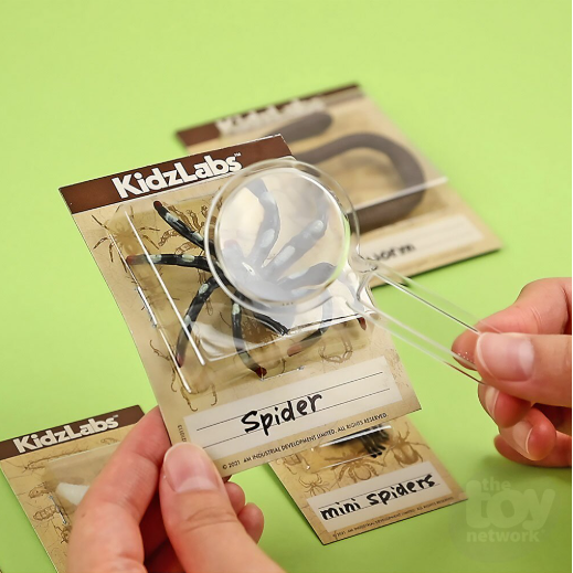 Kidzlabs | Creepy Crawley Digging Lab 5+ - 4