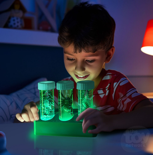 Kidzlabs | Creepy Crawley Digging Lab 5+ - 5