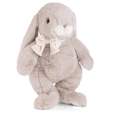 Bunny | The Great Silver Sprinkle - 1