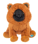 Webkinz Next | Chow Chow - 1