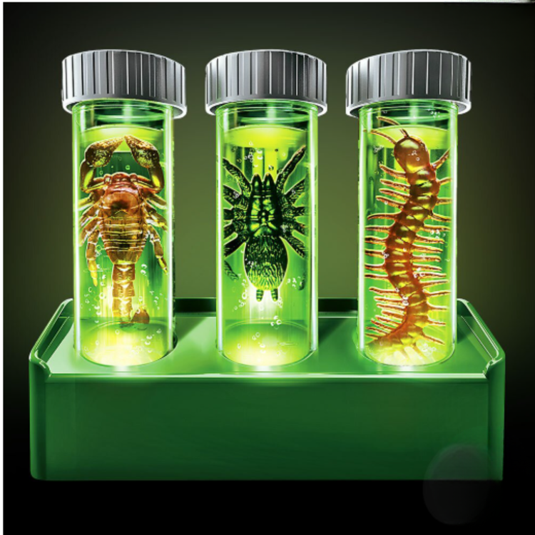 KidzLabs | Halloween Creepy Crawly Digging Lab 5+ - 2