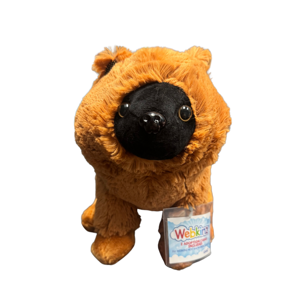 Webkinz Next | Chow Chow - 1
