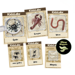 KidzLabs | Halloween Creepy Crawly Digging Lab 5+ - 3