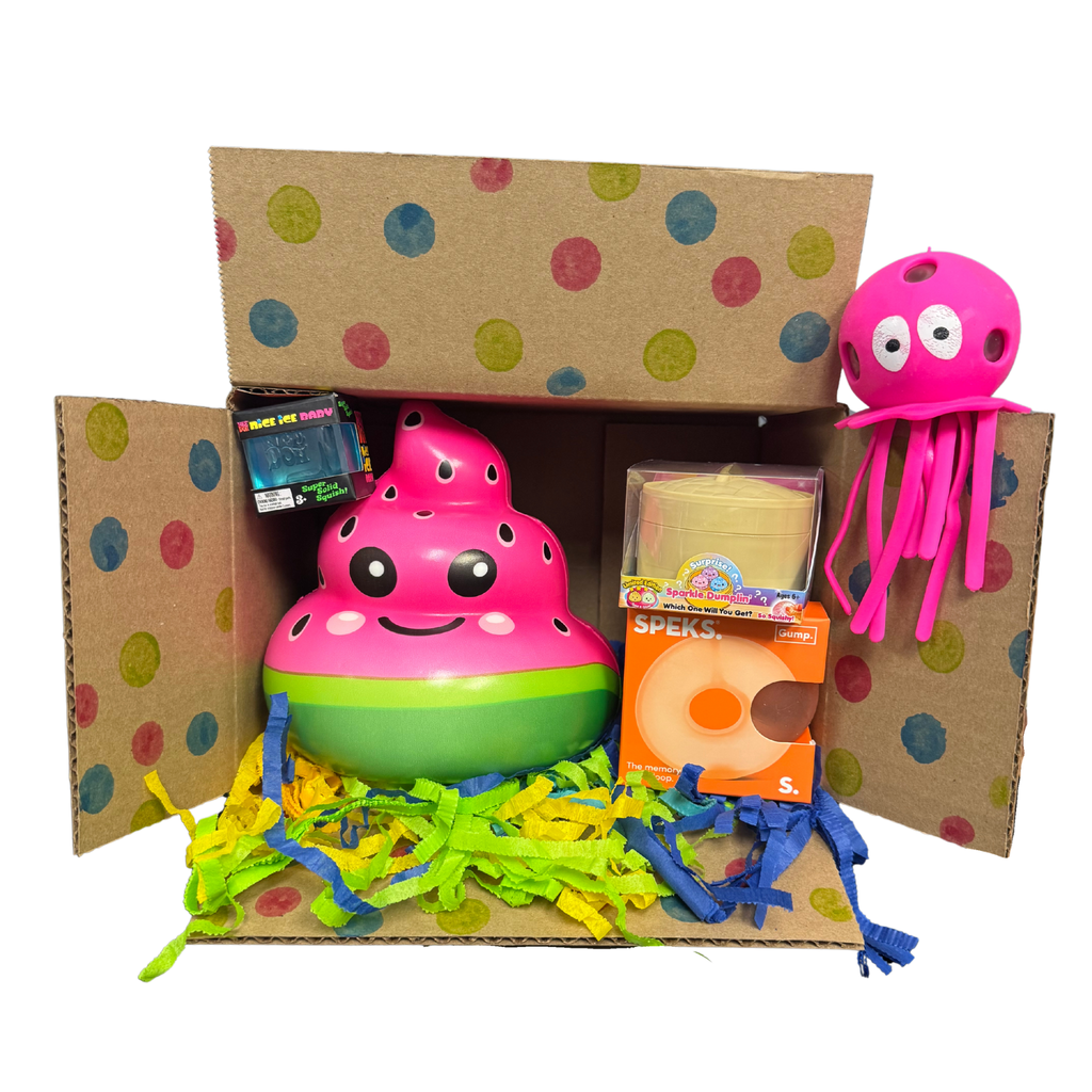 CR Toys Squishy Gift Box Featuring NeeDoh and Speks - 1