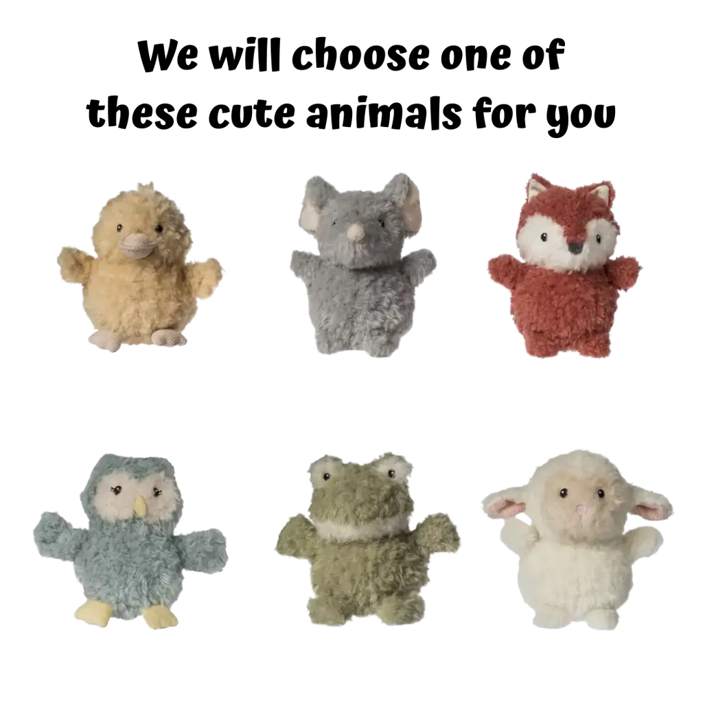 Rattle | Again Friends Assortment - CR Toys