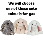 Natural Mini Softie Bunny - CR Toys