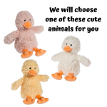 Ducks | Whispers - 1