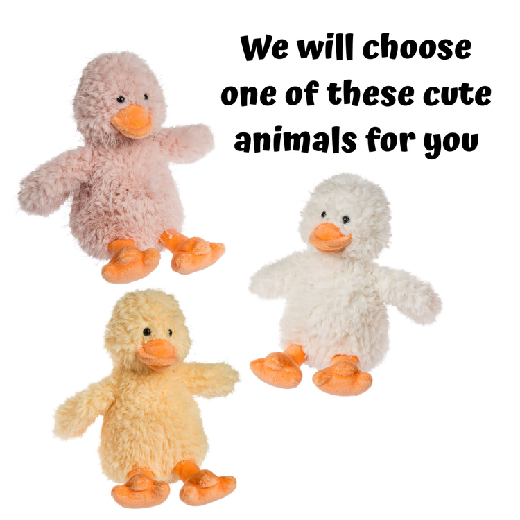 Ducks | Whispers - 1