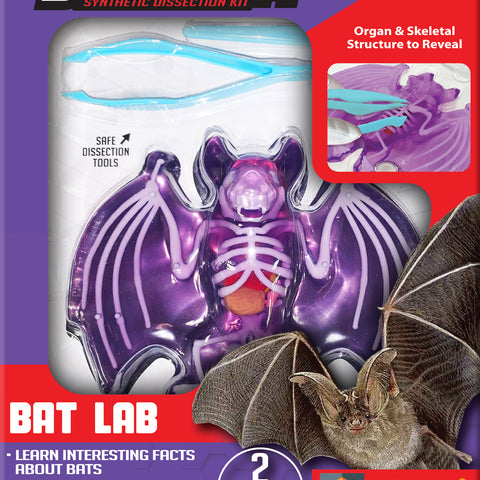 Dissect-It Bat Lab - CR Toys