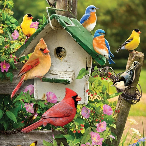 Summer Birdhouse 500Pc Puzzle For Ages 8+