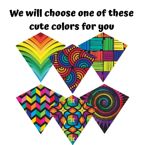 Kite | Color Max Diamond | We Will Pick a Color For You! - 2