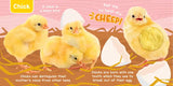 Baby Animals - A Noisy Touch And Feel Sensory Book Featuring Farm Sounds
