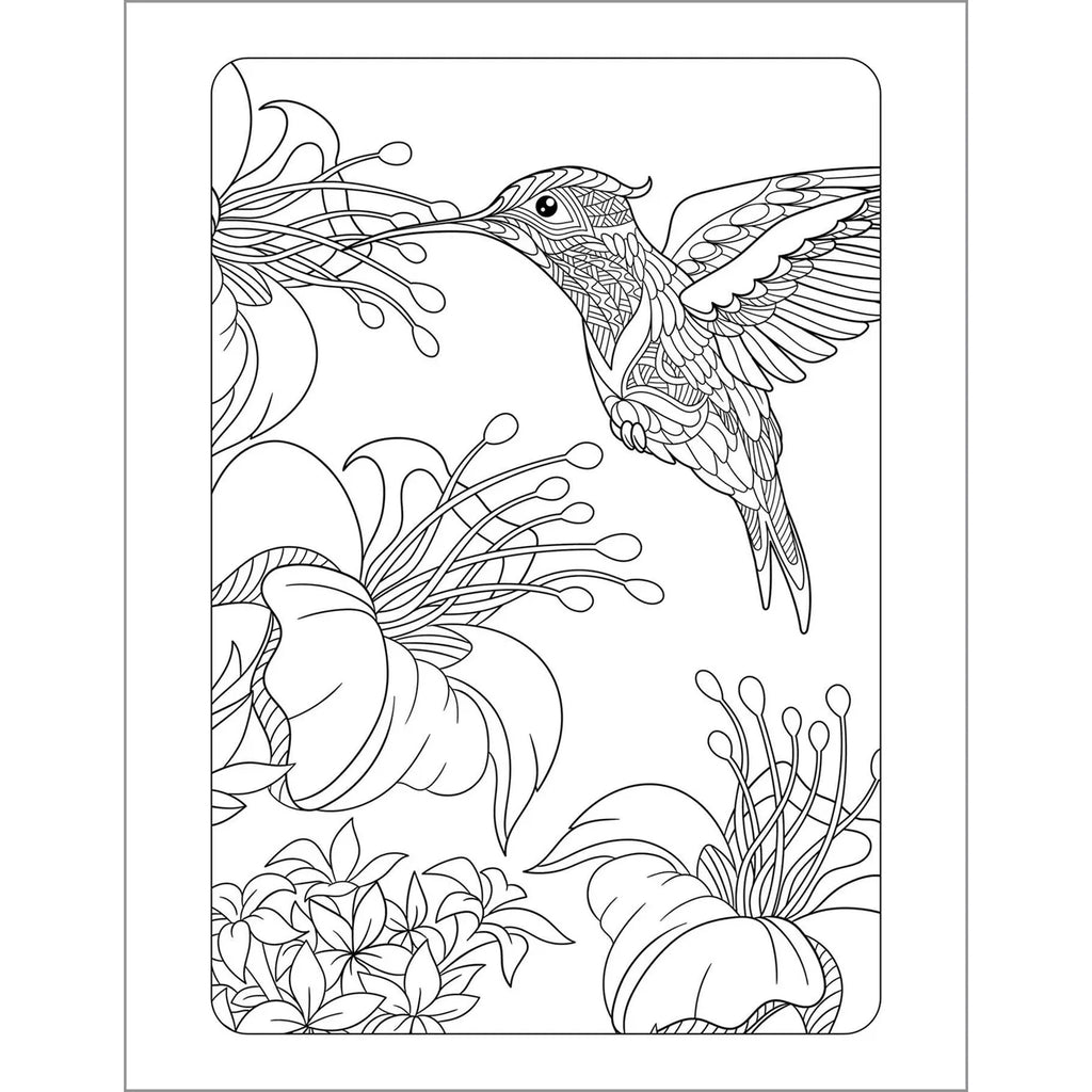 Anxiety Relief Coloring Book for Adults - 2