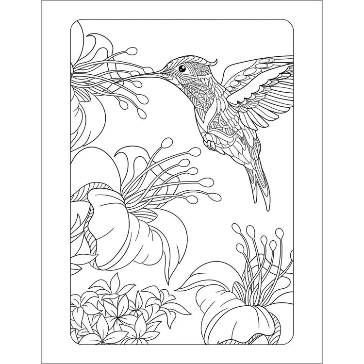 Anxiety Relief Coloring Book for Adults - 2