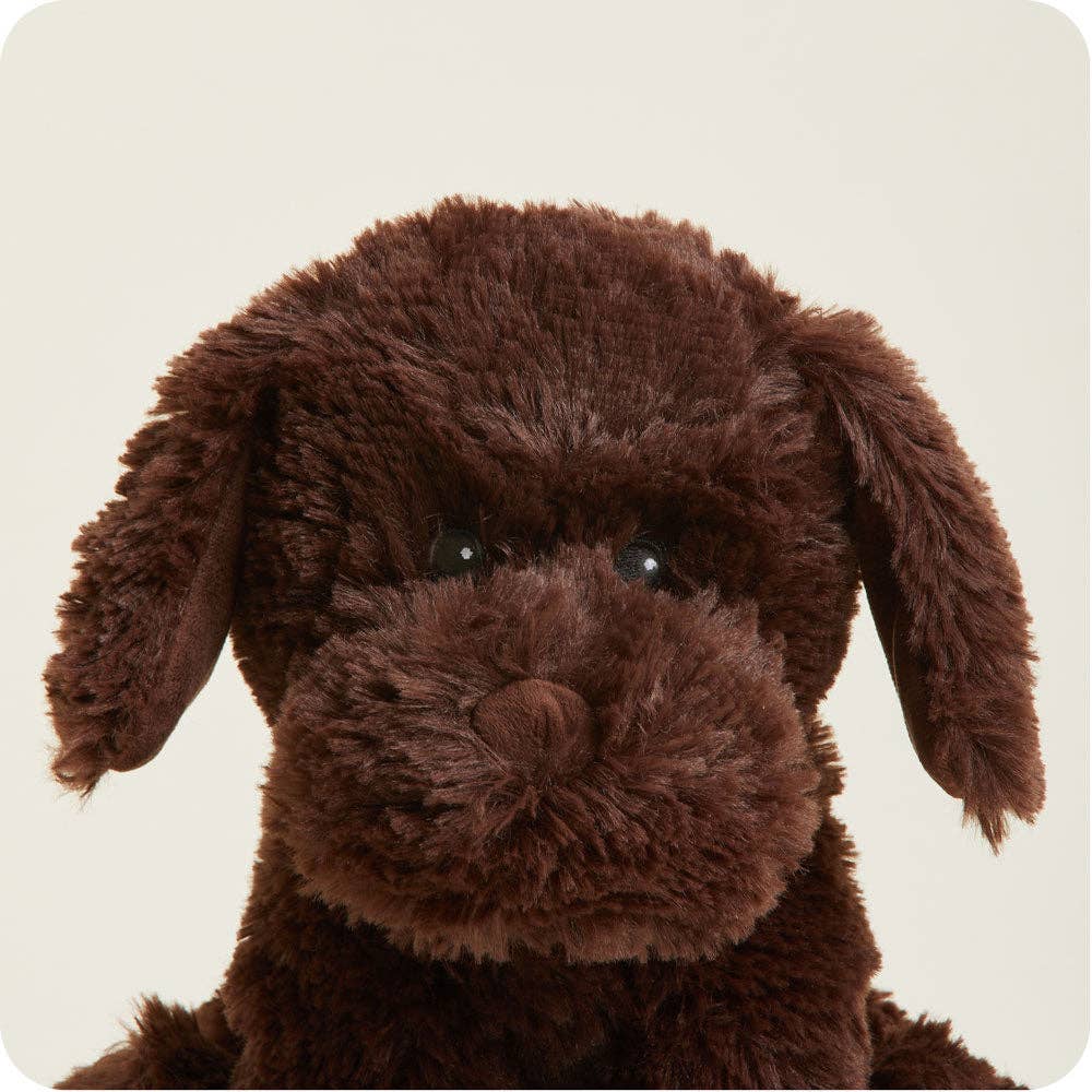 Warmies Chocolate Labrador photo
