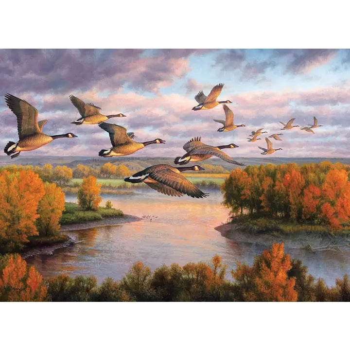 Migration 1000Pc Puzzle For Ages 12+