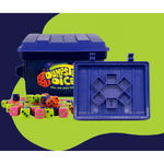 Dumpster Dice Game | Family Game | Ages 6+