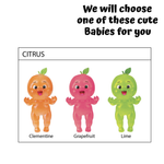 Sugar Swaps | Onesies Fruit Babies Citrus - 4