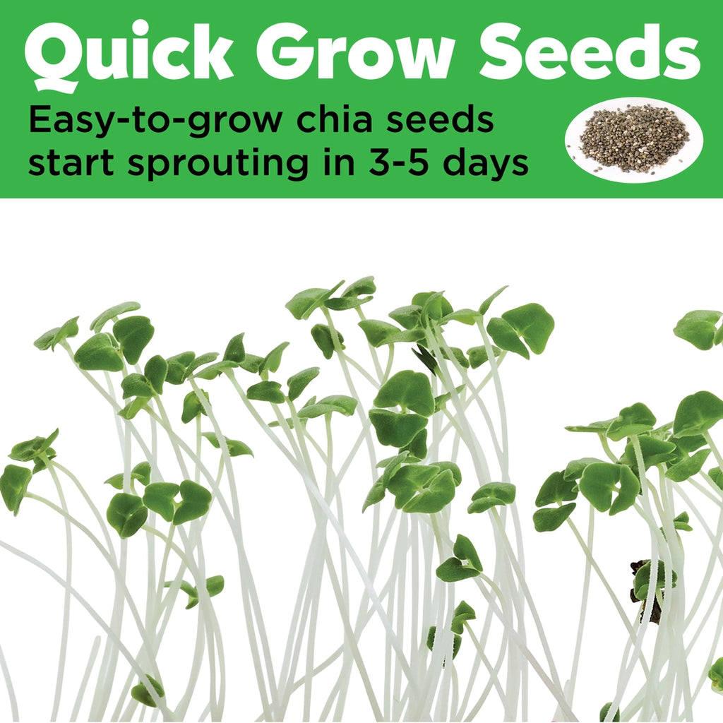Grow a Mini Garden | Pony 6441000