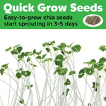 Grow a Mini Garden | Pony 6441000