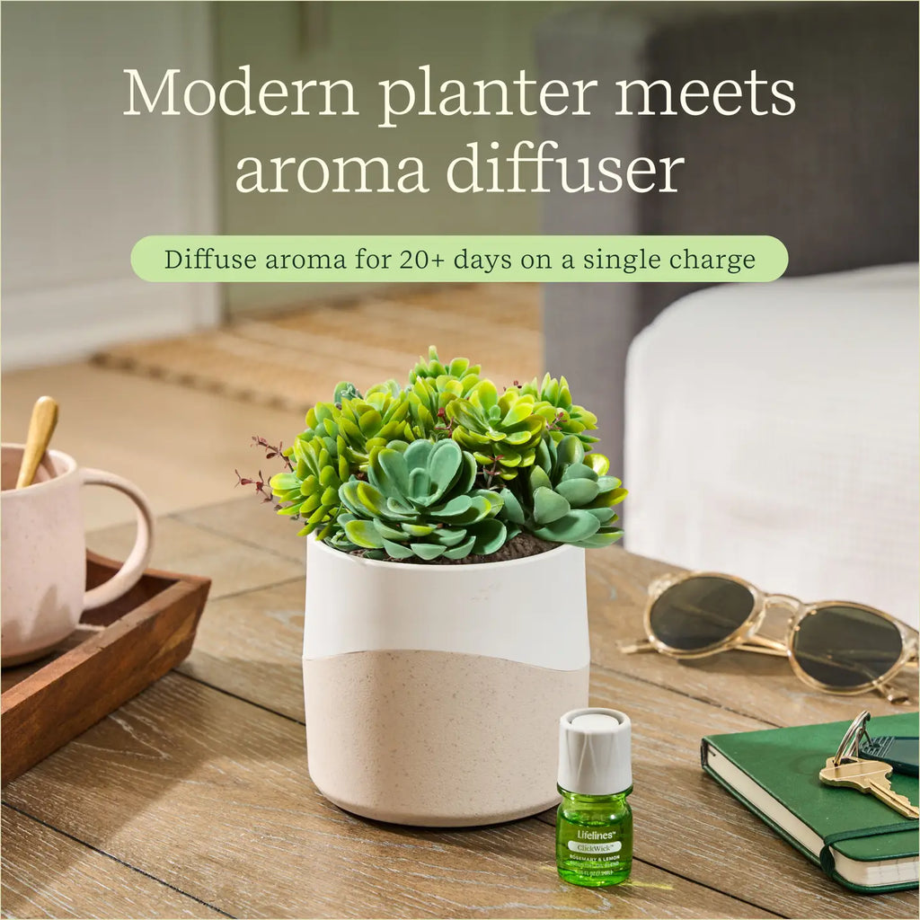 Lifelines Plant Diffuser | Succulent Two Toned - CR Toys