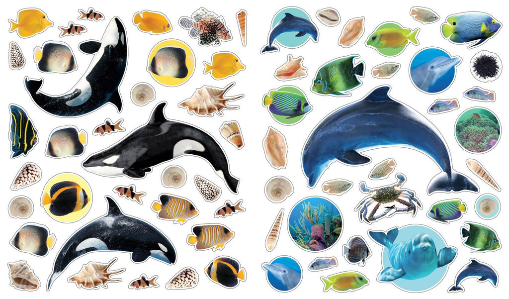 eyelike stickers ocean interior view 2