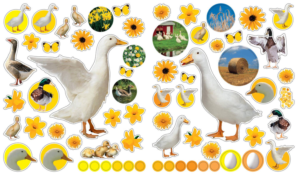 eyelike stickers on the farm interior view 3