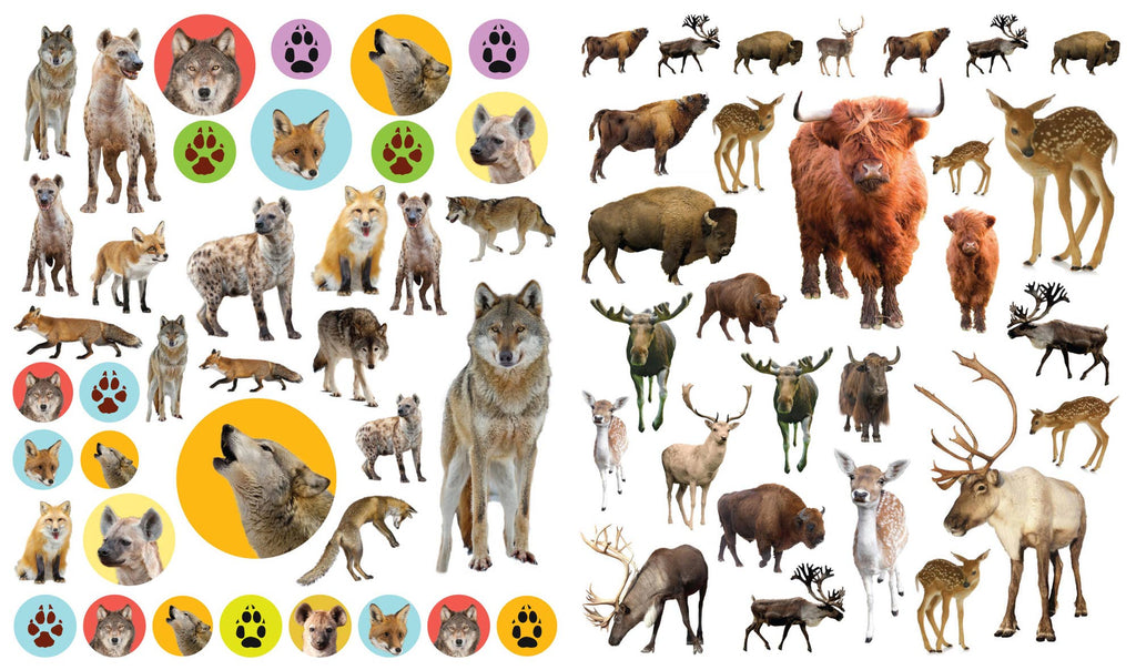 eyelike stickers wild animals interior view 2