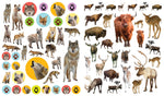 eyelike stickers wild animals interior view 2