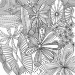 serenity artists coloring book