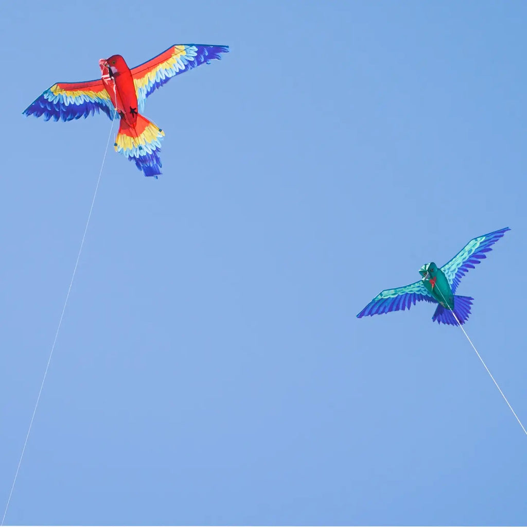 Kite | 3D Hummingbird - CR Toys