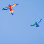 Kite | 3D Hummingbird - CR Toys