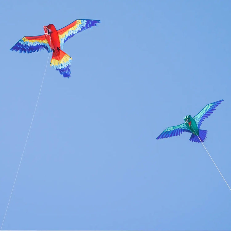 Kite | 3D Hummingbird - CR Toys