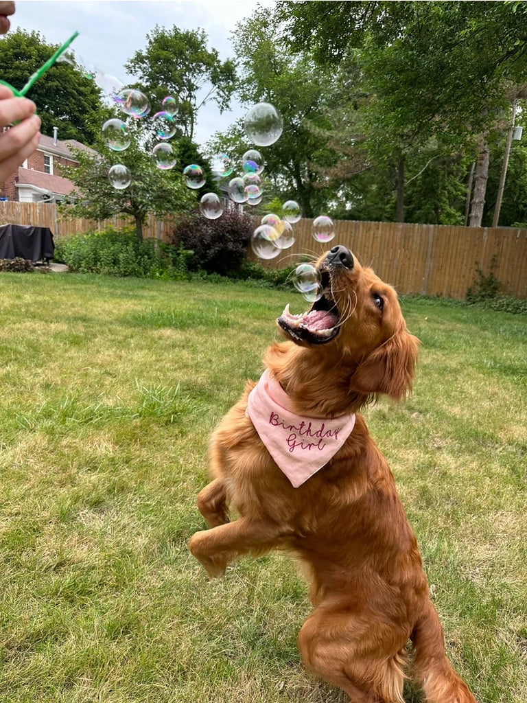 Bubble Lick | Pets Maple Bacon Bubbles 7278
