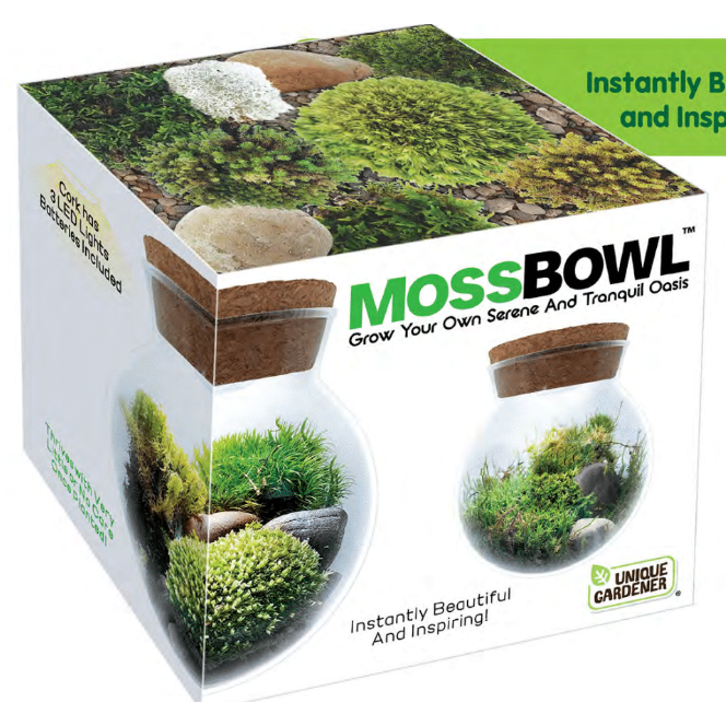Moss Bowl - Grow Your Own Oasis Lgmb-290