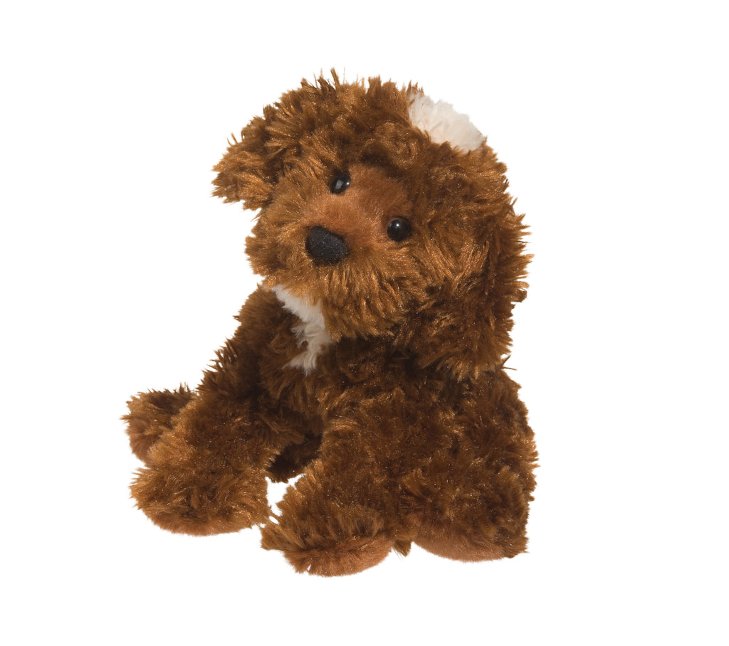 Bosco Chocolate Labradoodle 3993 - 2