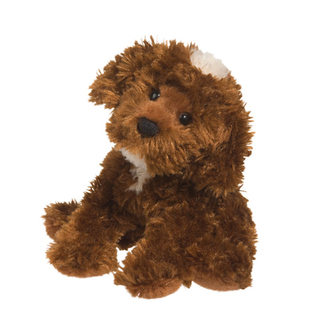 Bosco Chocolate Labradoodle 3993
