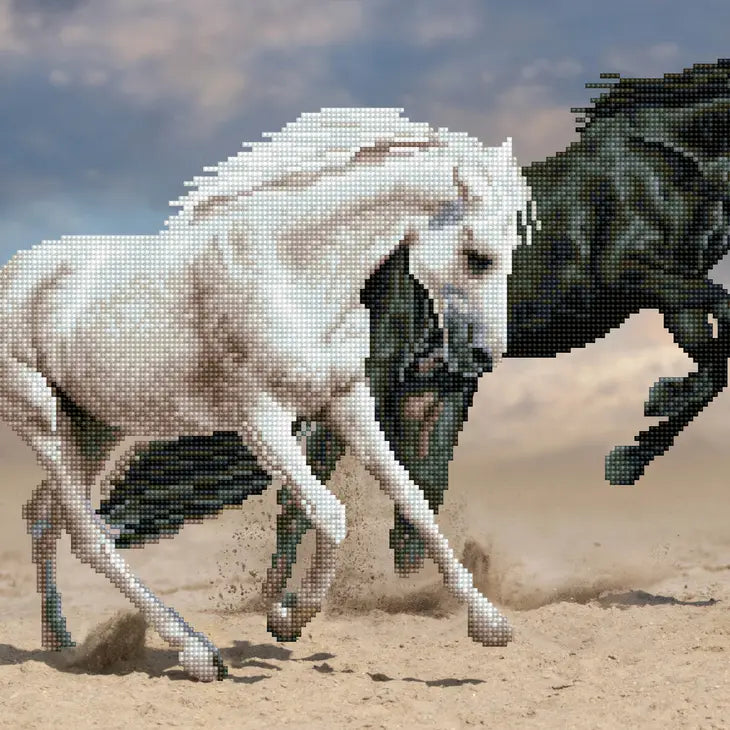 Diamond Dotz Horse Play