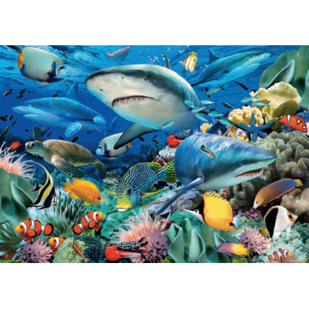 Puzzle | Shark Reef | 100 Pc XXL - CR Toys