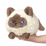 Squishable | Colorpoint Kitty 3+