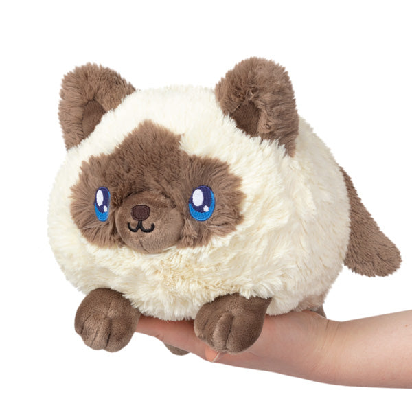 Squishable | Colorpoint Kitty 3+