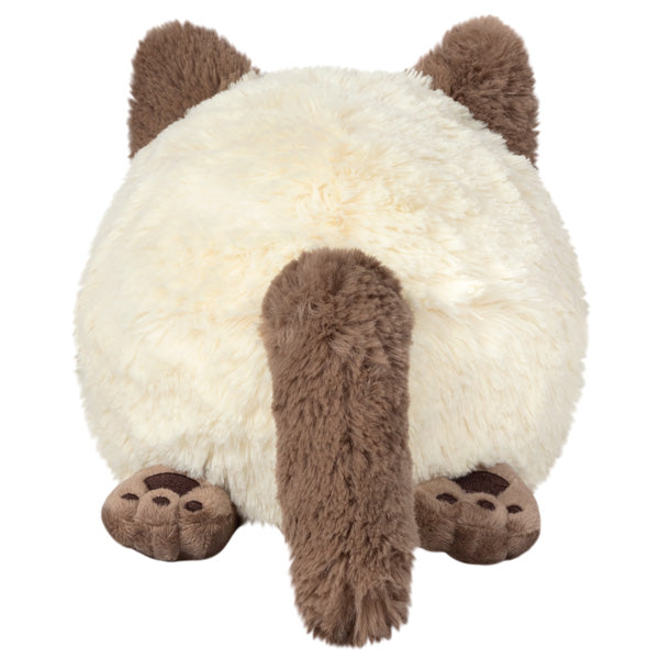 Squishable | Colorpoint Kitty 3+