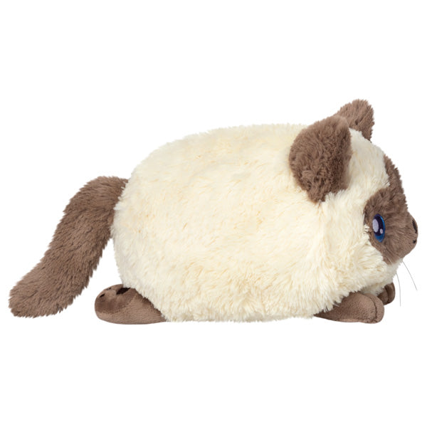 Squishable | Colorpoint Kitty 3+