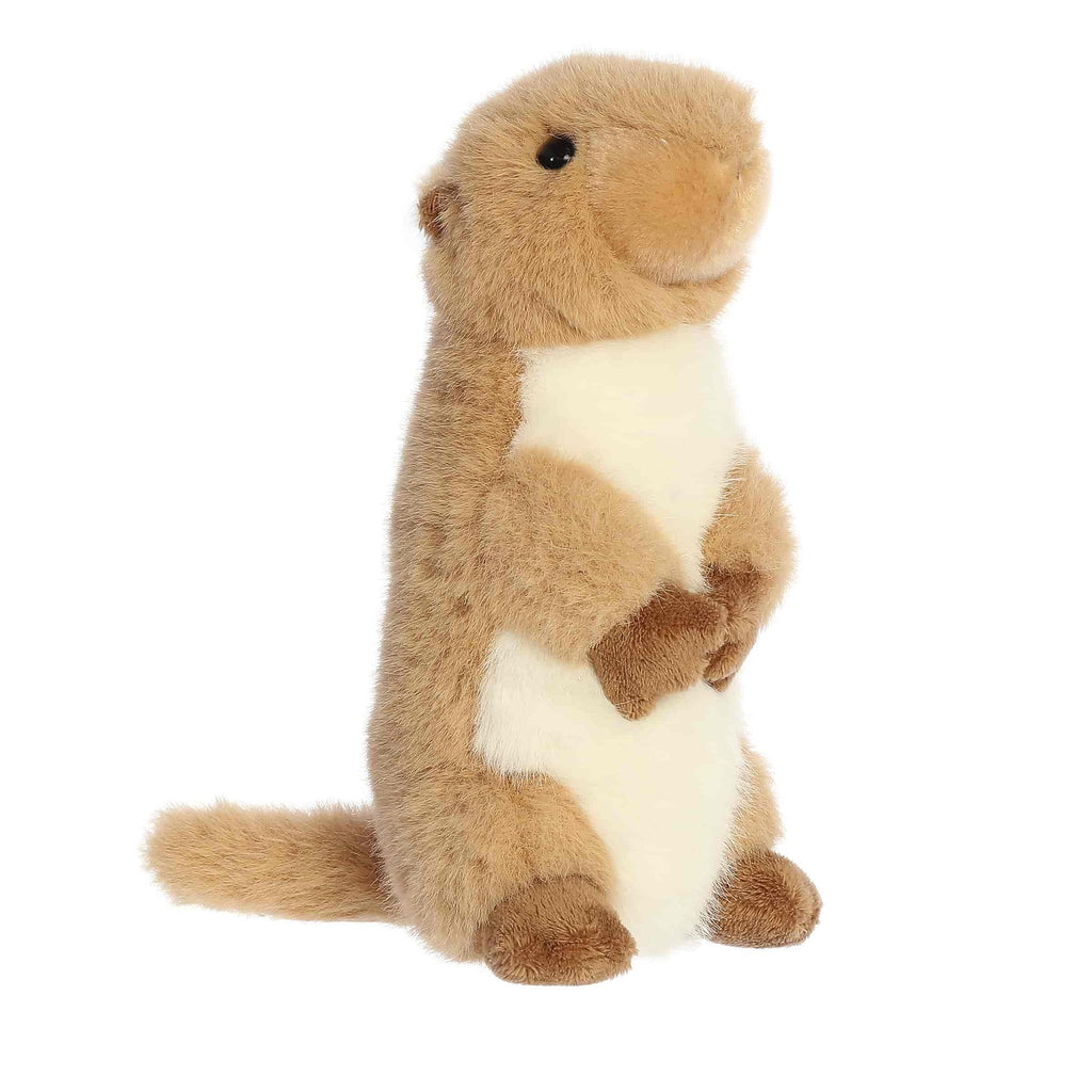 MF | Clover Prairie Dog 8" Plush - 1