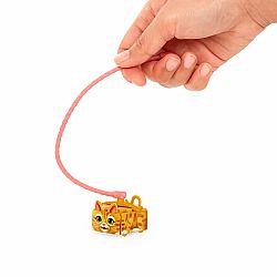 Pets 2 Love | Orange Kitty Olive